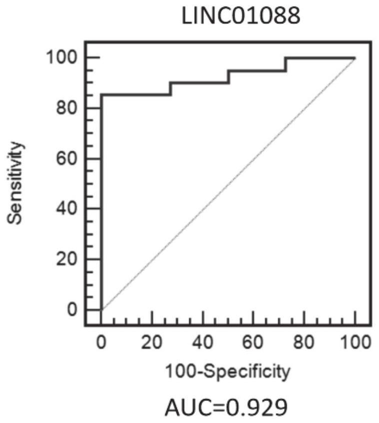 Application of lncRNA in the diagnosis and treatment of recurrent miscarriage