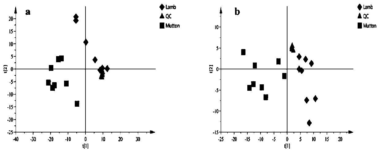 Method for identifying lamb meat and adult mutton