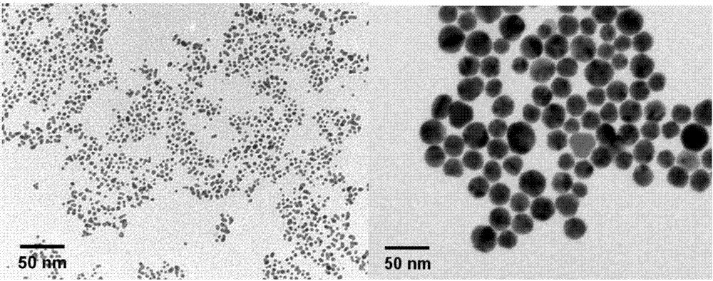 2-(9-methylene anthracene) thiosemicarbazide and TAT modified gold nanoparticle drug delivery system and application