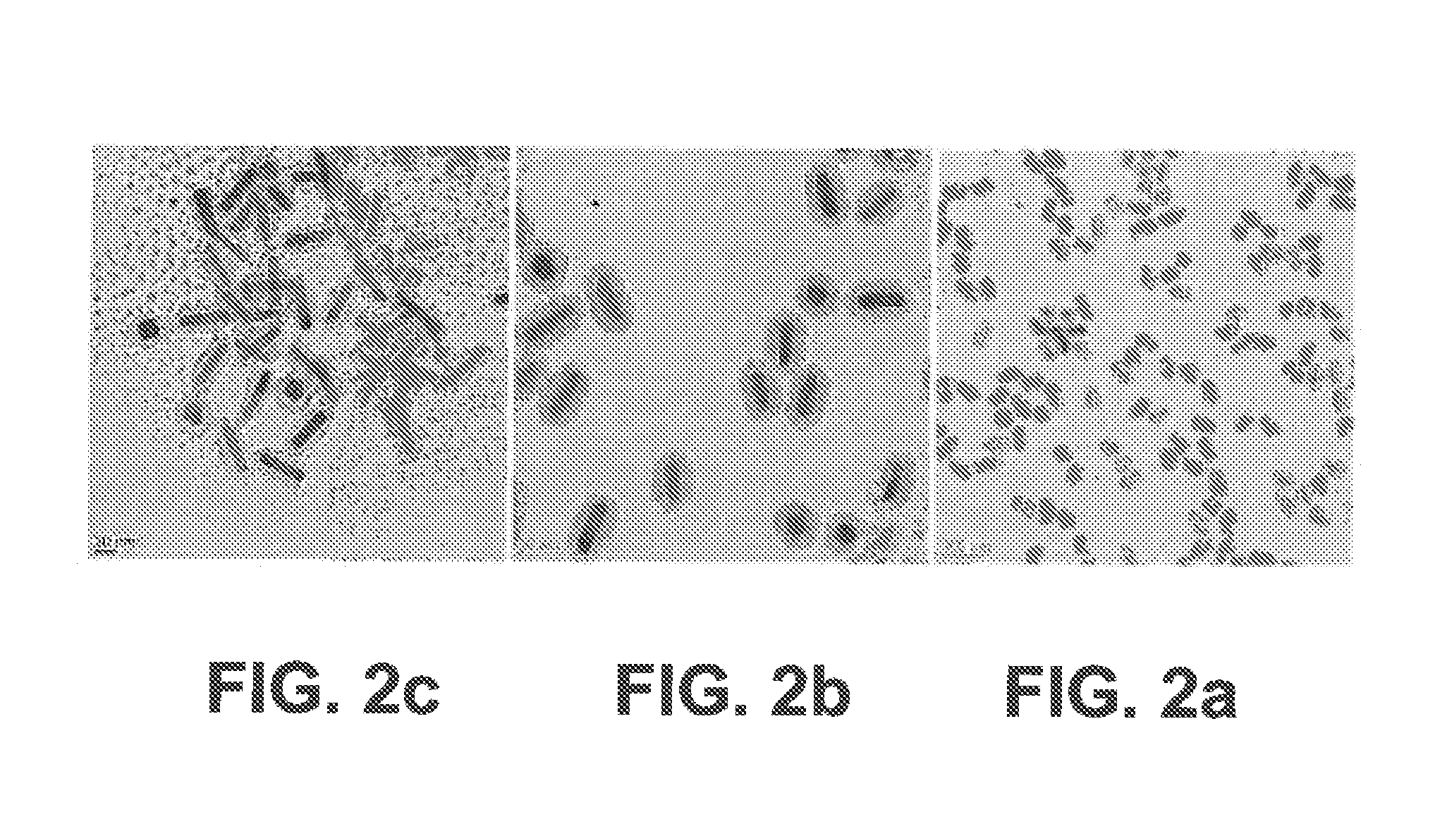 Metal/silica core/shell nanoparticles, manufacturing process and immunochromatographic test device comprising such nanoparticles