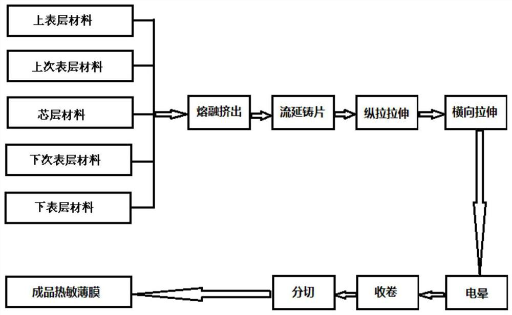 Foamed biaxially oriented thermosensitive film