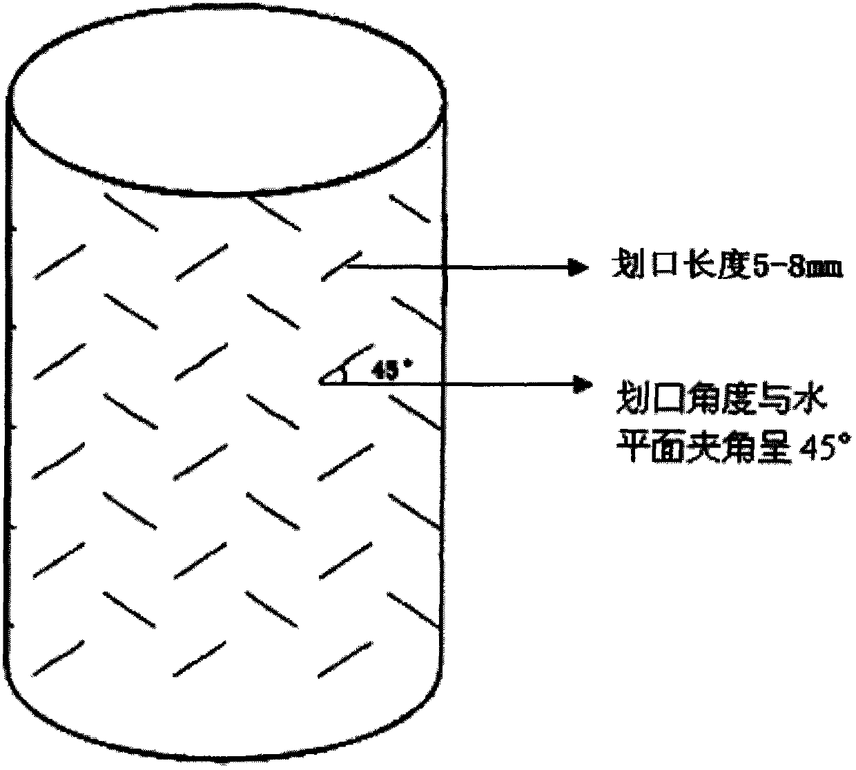 Fungi bag, manufacture method of fungi bag, and method for cultivating black fungus by using fungi bag