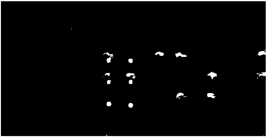 High precision braille identification method and system