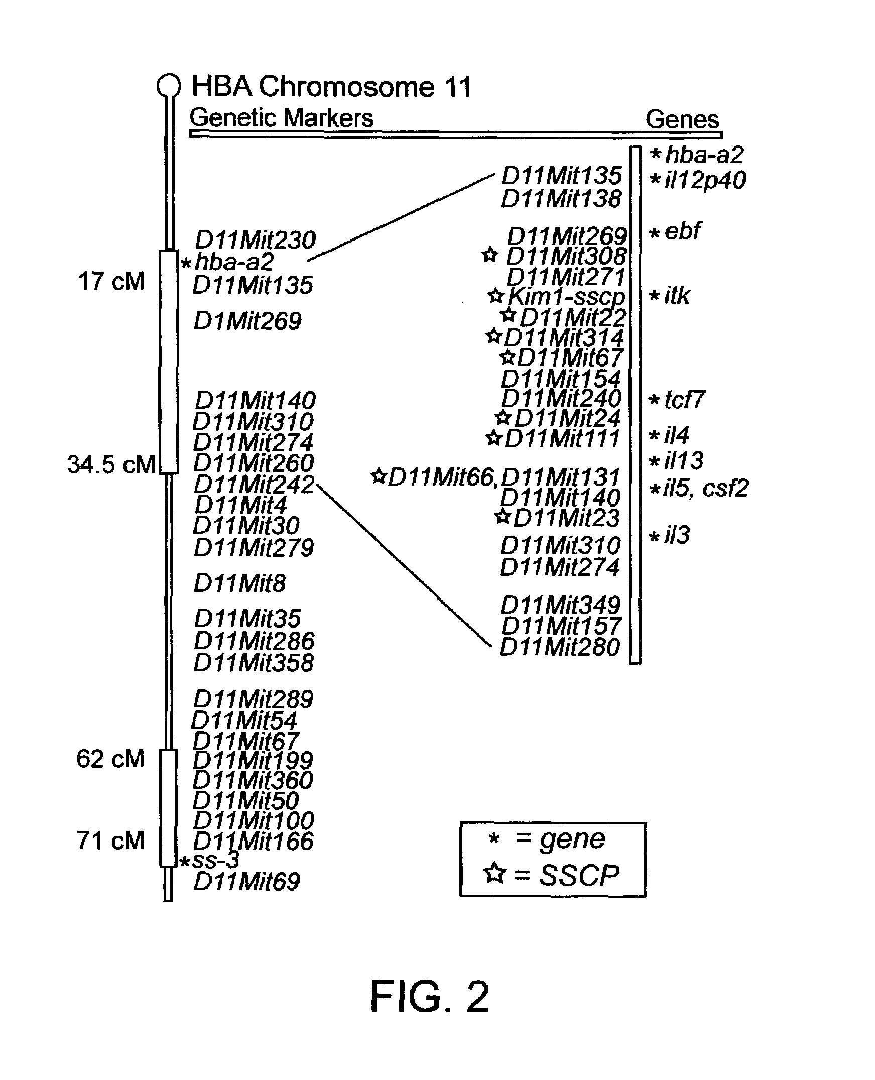 T cell regulatory genes and methods of use thereof