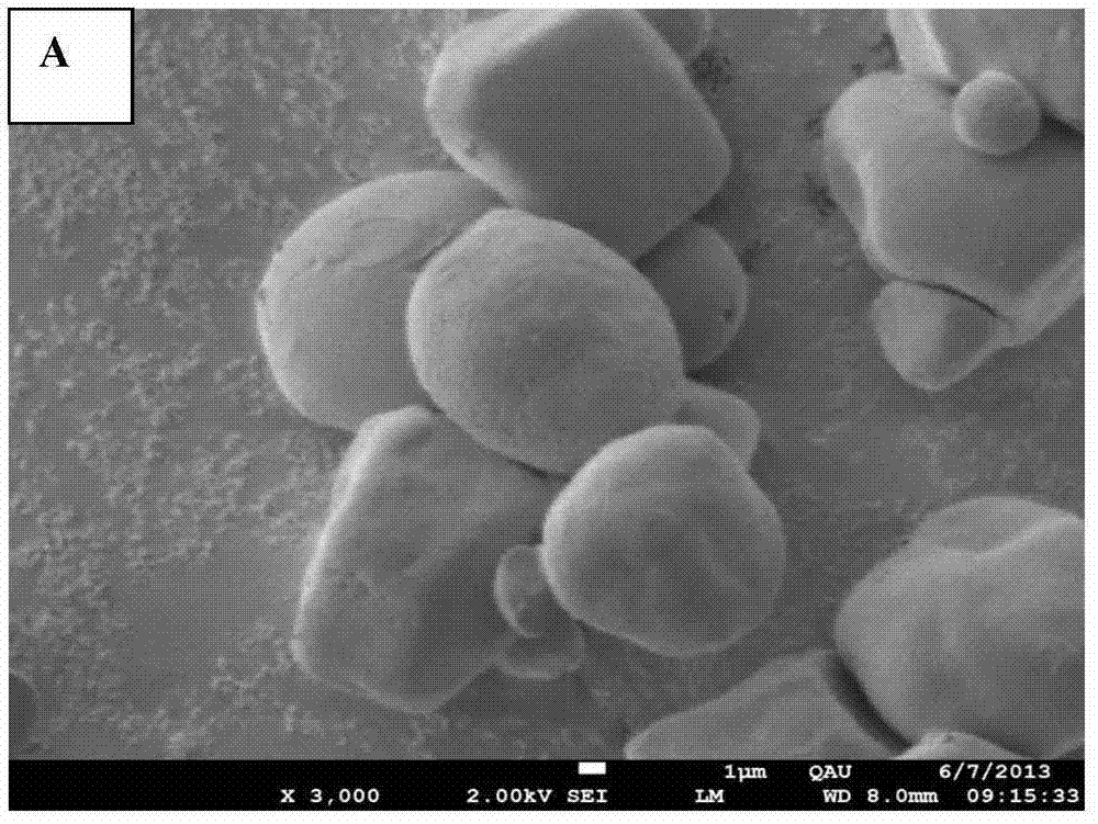 A process for the preparation of nano-starch by enzymatic hydrolysis of short amylose starch and self-assembly at medium temperature