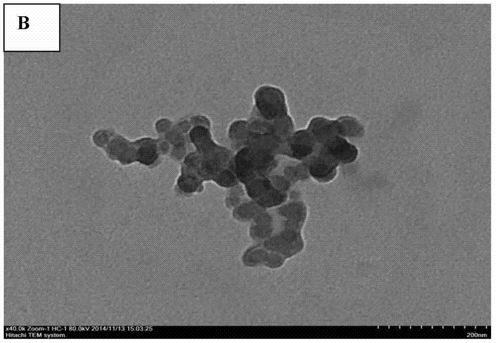 A process for the preparation of nano-starch by enzymatic hydrolysis of short amylose starch and self-assembly at medium temperature