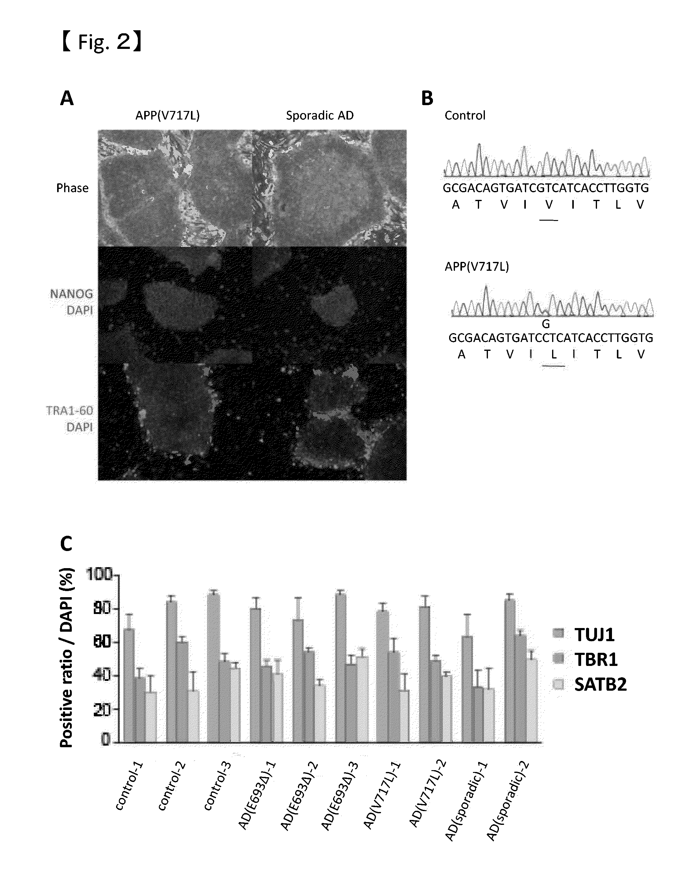 Method for screening therapeutic and/or prophylactic agents for alzheimer's disease