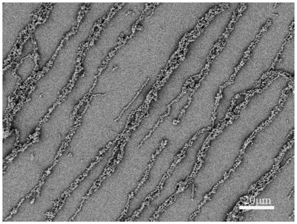 Preparation method of magnetic nanowire