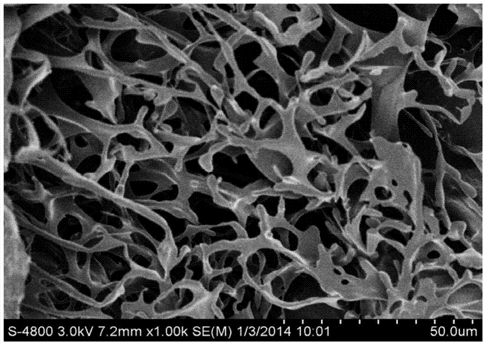 A kind of tissue engineered cartilage scaffold and preparation method thereof