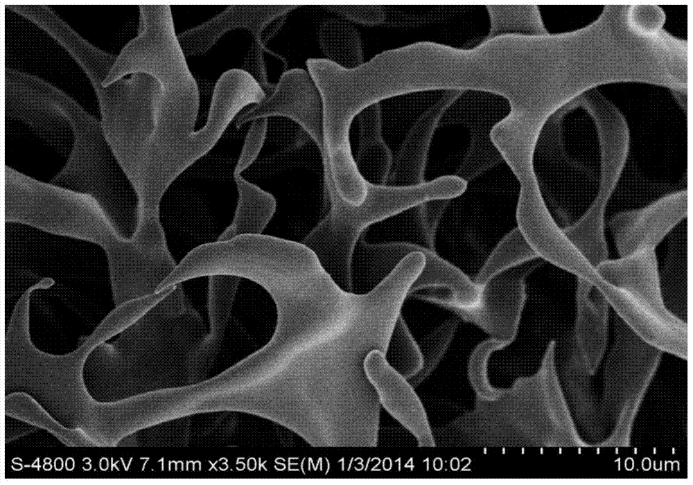 A kind of tissue engineered cartilage scaffold and preparation method thereof