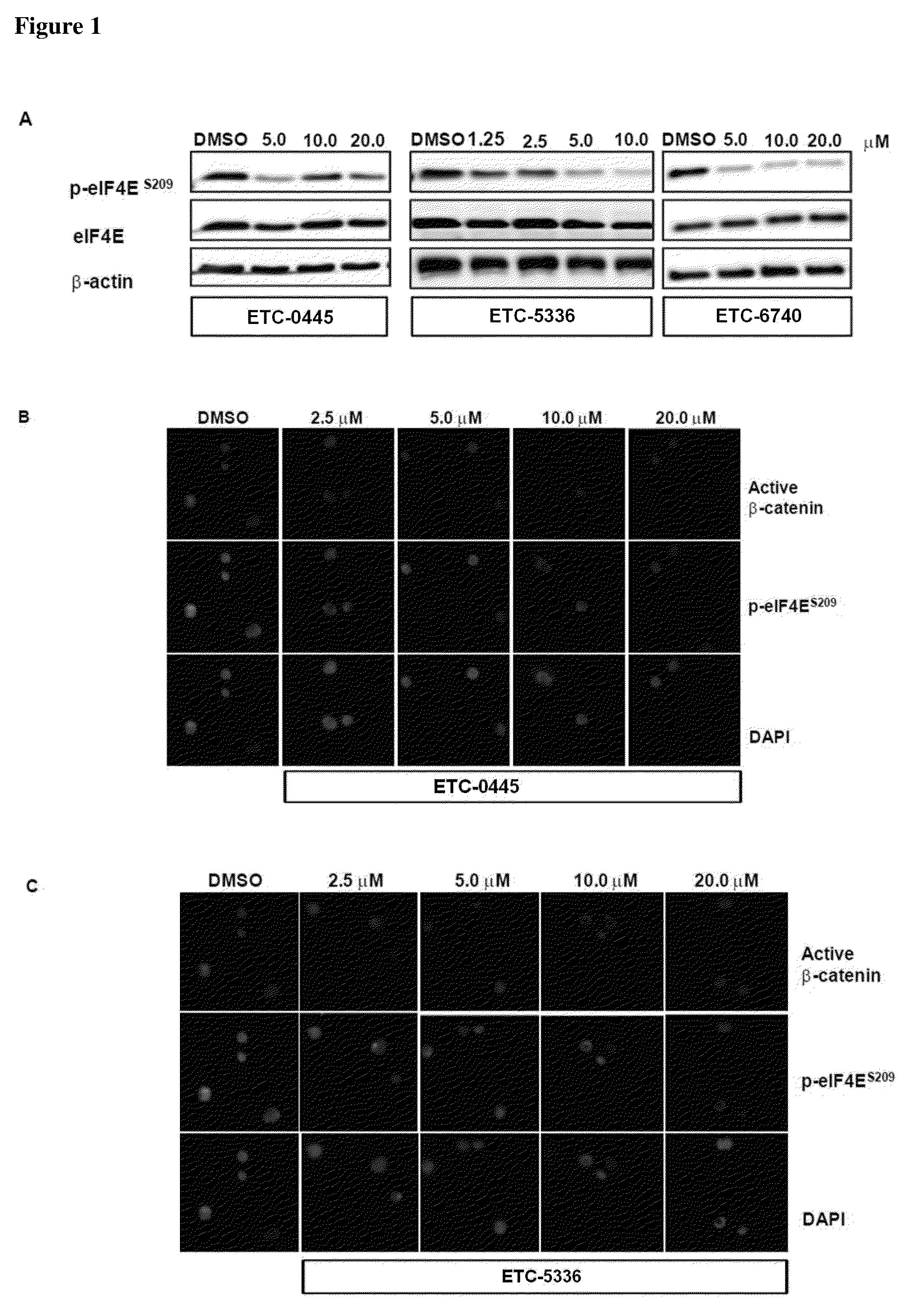 Bicyclic heteroaryl derivatives as mnk1 and mnk2 modulators and uses thereof
