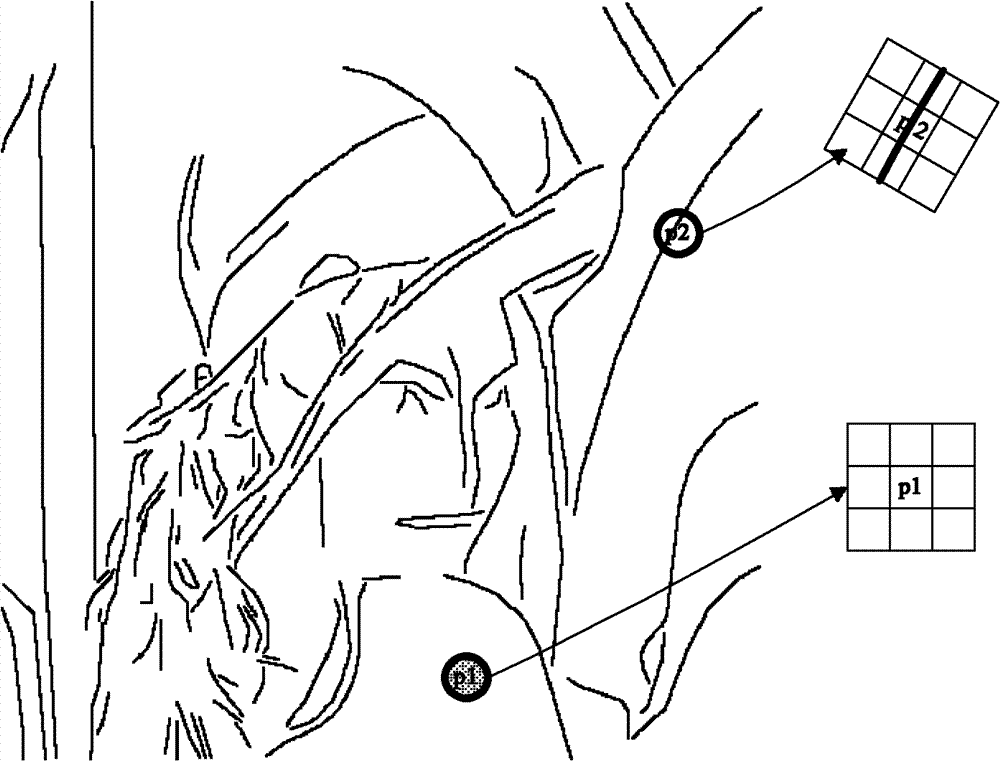 Non-local mean image denoising method combined with structure information