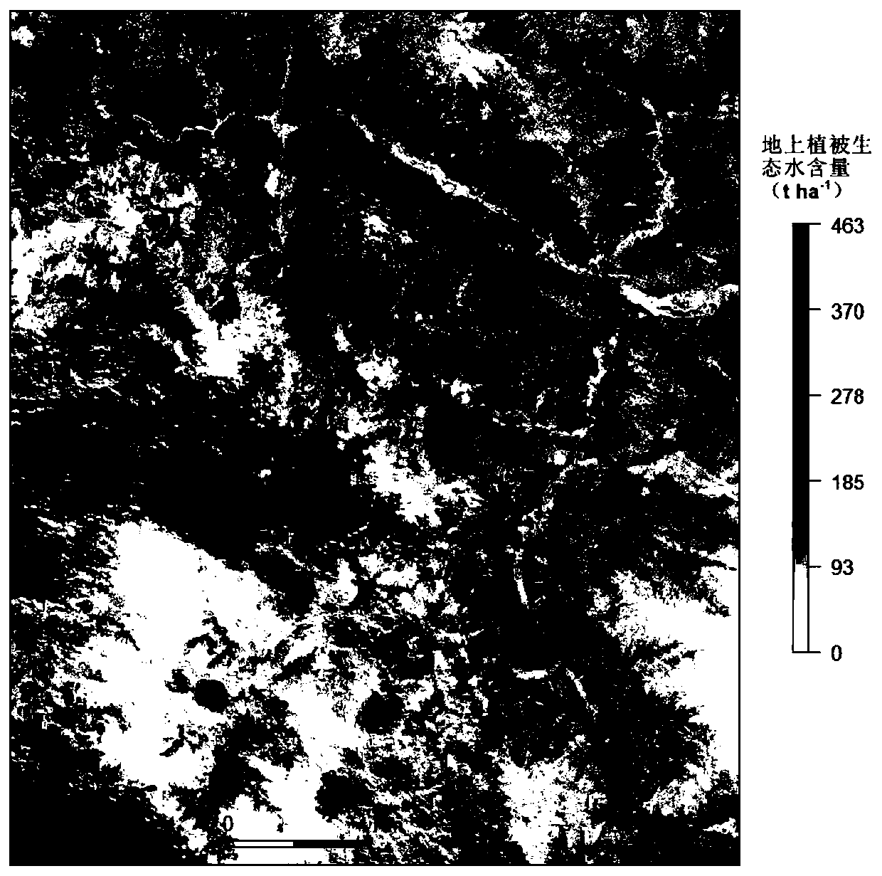 Overground vegetation ecological water quantitative inversion method based on remote sensing technology