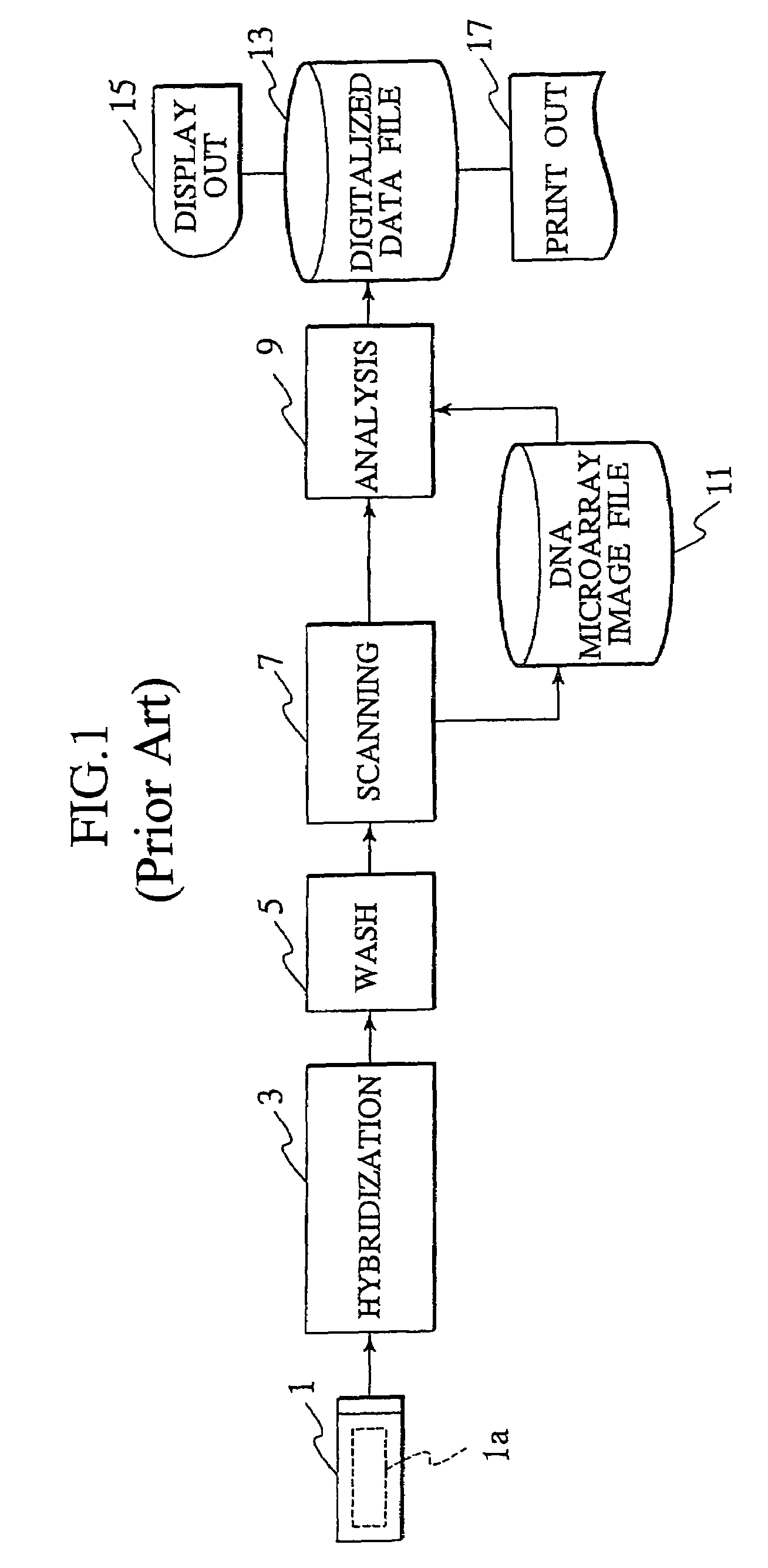 Probe reactive chip, sample analysis apparatus, and method thereof