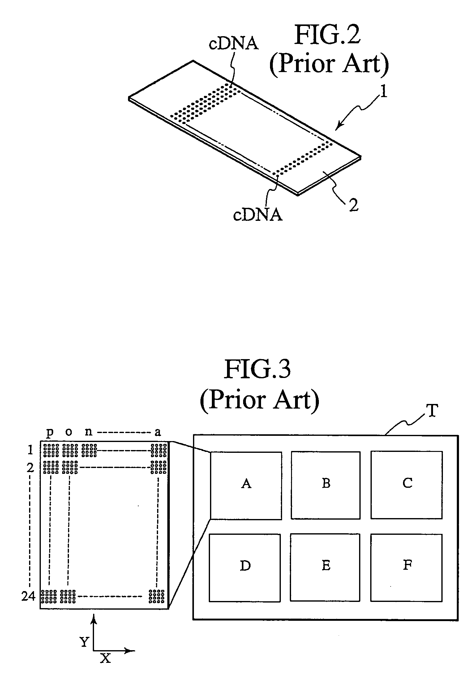 Probe reactive chip, sample analysis apparatus, and method thereof