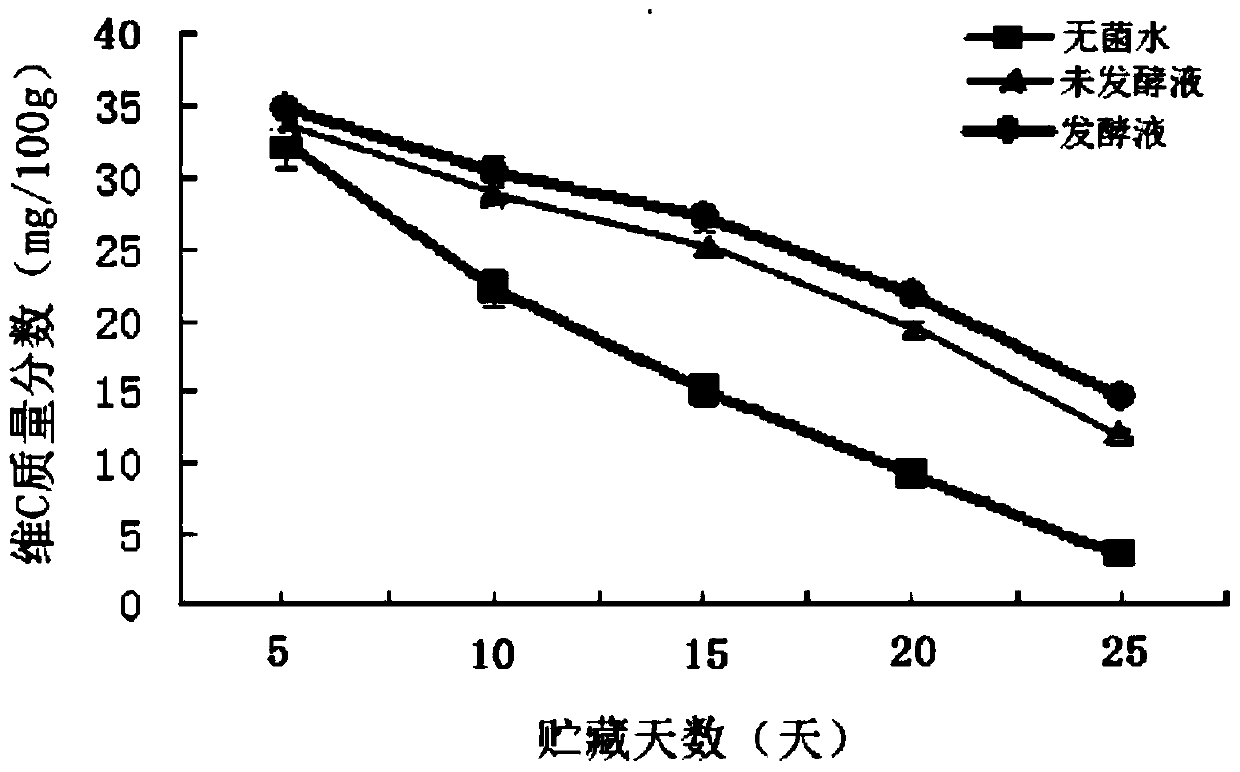 The application of kudzu root product fermented by S. coronis ls1 strain in cherry tomato preservation