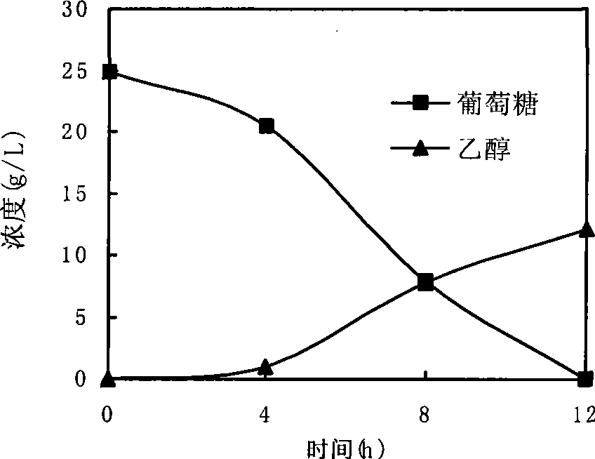 In situ detoxication alcohol fermentation method of ligno-cellulose hydrolysate using single strain