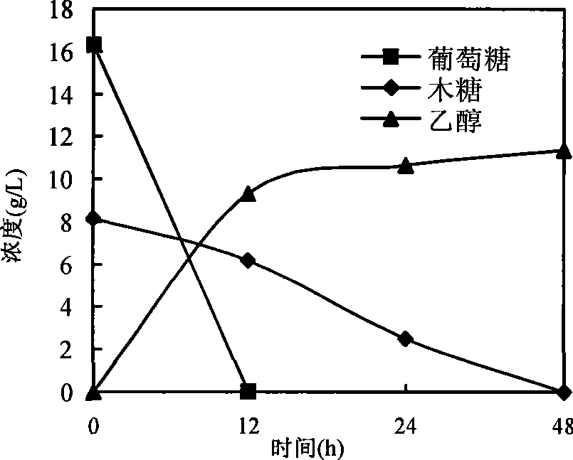 In situ detoxication alcohol fermentation method of ligno-cellulose hydrolysate using single strain