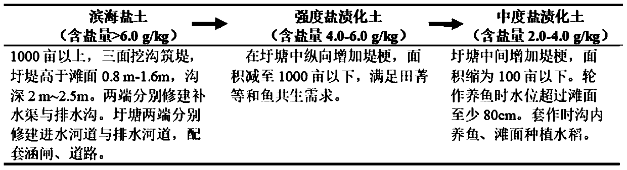 Ecological protection method for coastal tidal-flat area and system employed