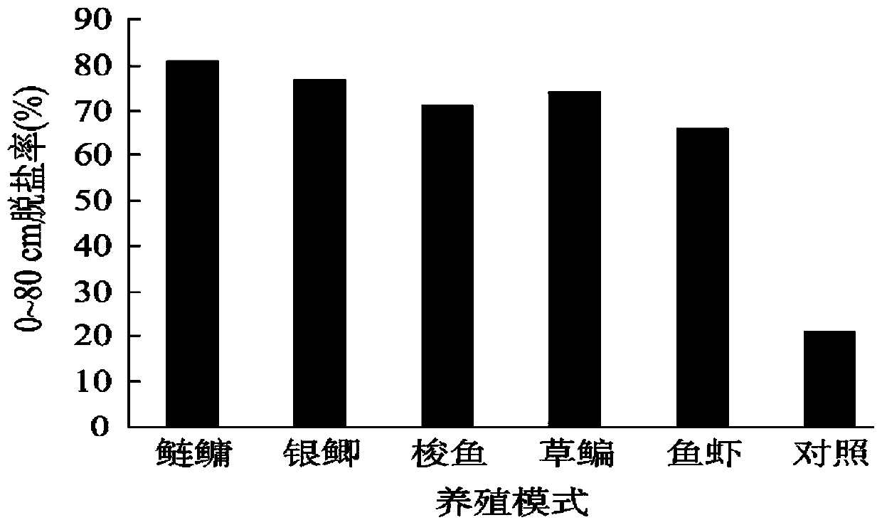 Ecological protection method for coastal tidal-flat area and system employed