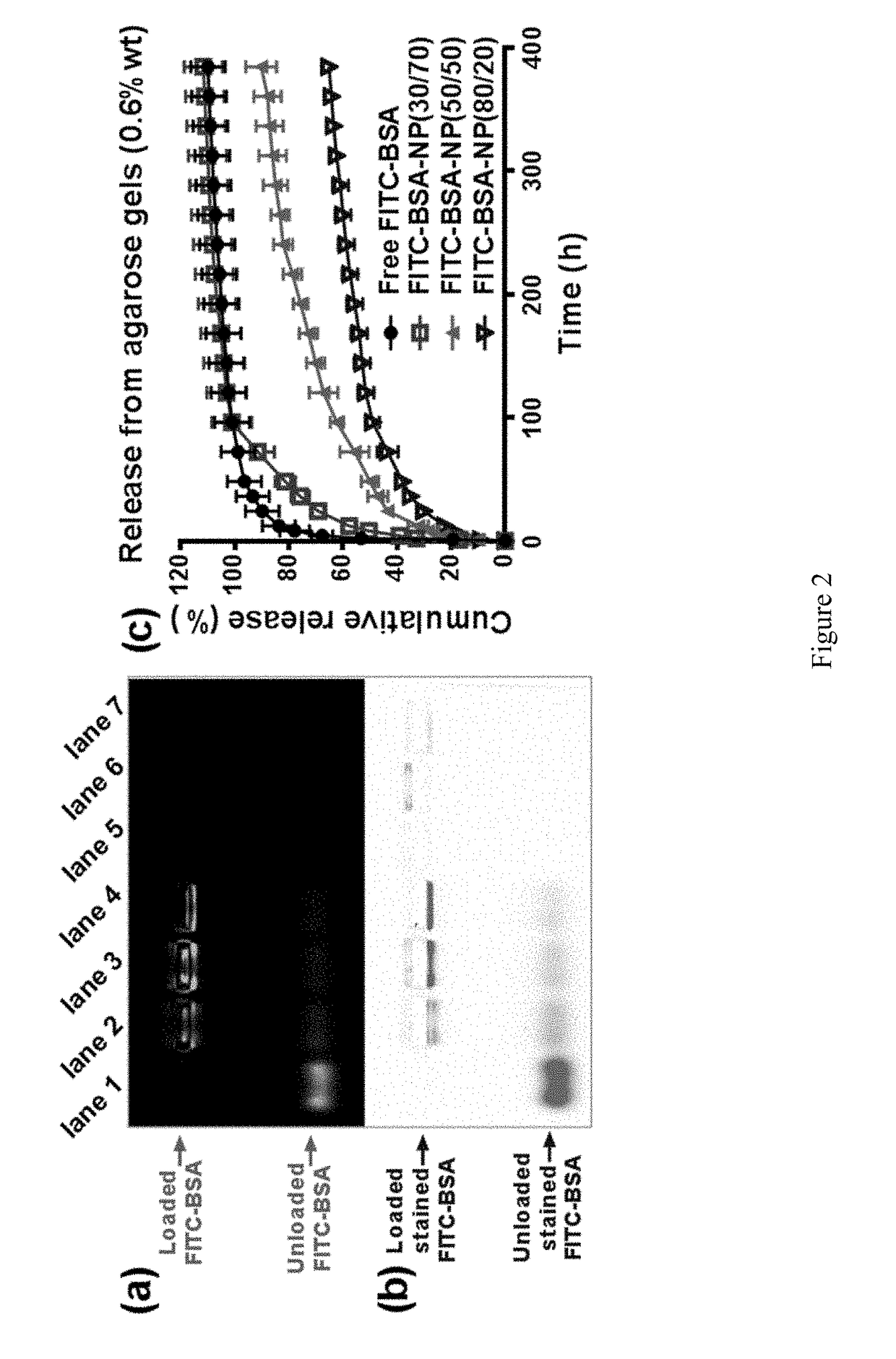 Lipidic compound-telodendrimer hybrid nanoparticles and methods of making and uses thereof