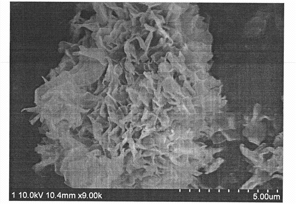 Rare-earth complex nano luminescent material