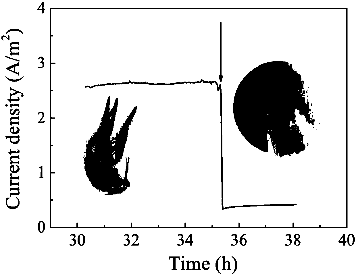 Method for rapid detection of impact of acid rain on rice health by means of microbial electrochemical sensor