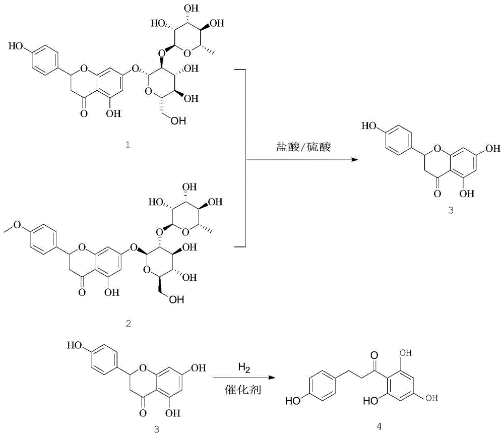 Method for preparing high-purity phloretin by utilizing shaddock peels