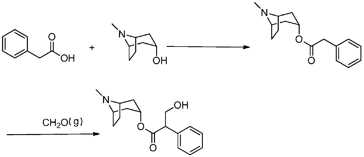 A kind of preparation method of anticholinergic drug atropine sulfate