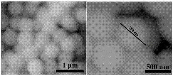 Thorn-like silica ball and preparation method thereof