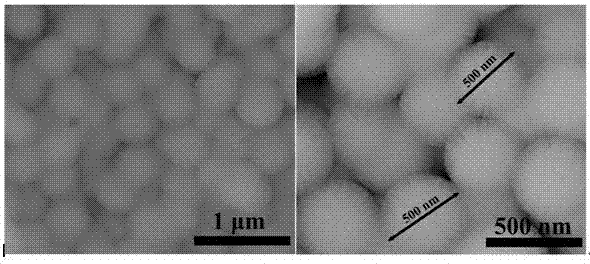 Thorn-like silica ball and preparation method thereof