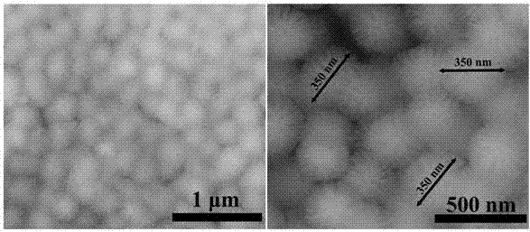 Thorn-like silica ball and preparation method thereof