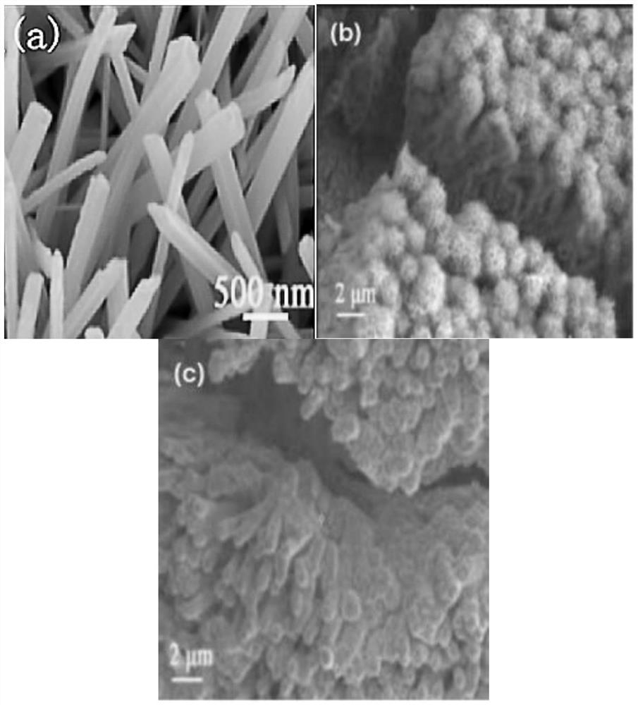 Foamy copper loaded nickel-molybdenum-phosphorus-based composite material and preparation method and application thereof