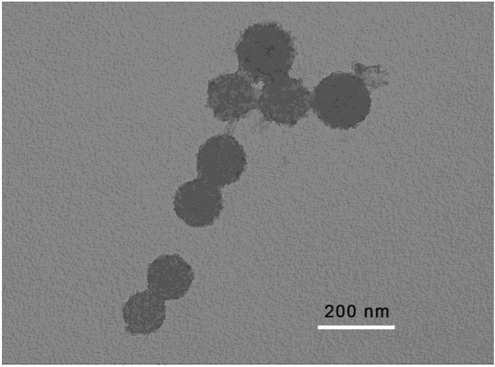 Degradable magnetic nano material with caramel nanospheres as templates as well as preparation method and application of material in MRI (magnetic resonance imaging)