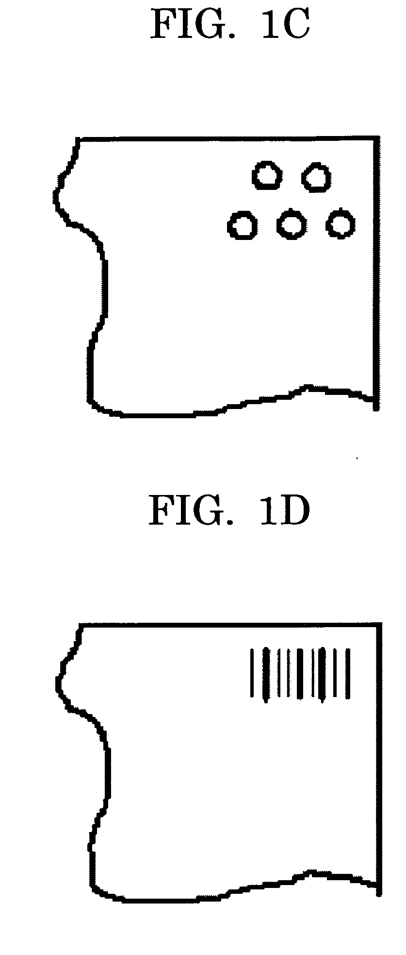 Reusable electrophotographic recording medium and method for producing the same, image forming method, and method for repeatedly using electrophotographic recording medium