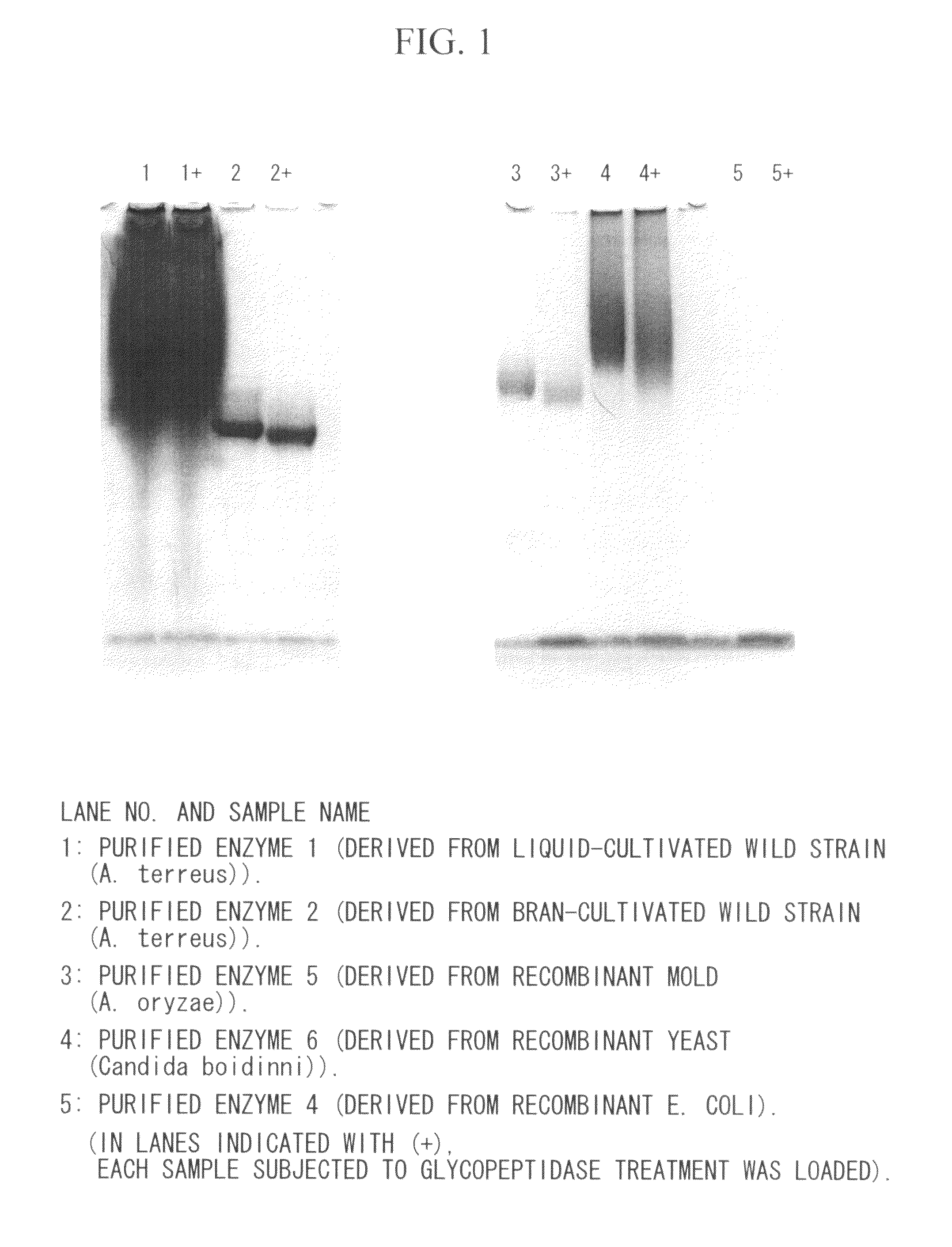 Coenzyme-linked glucose dehydrogenase and polynucleotide encoding the same