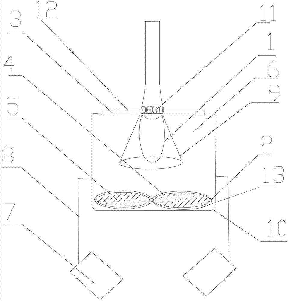 Illumination device with detachable light source