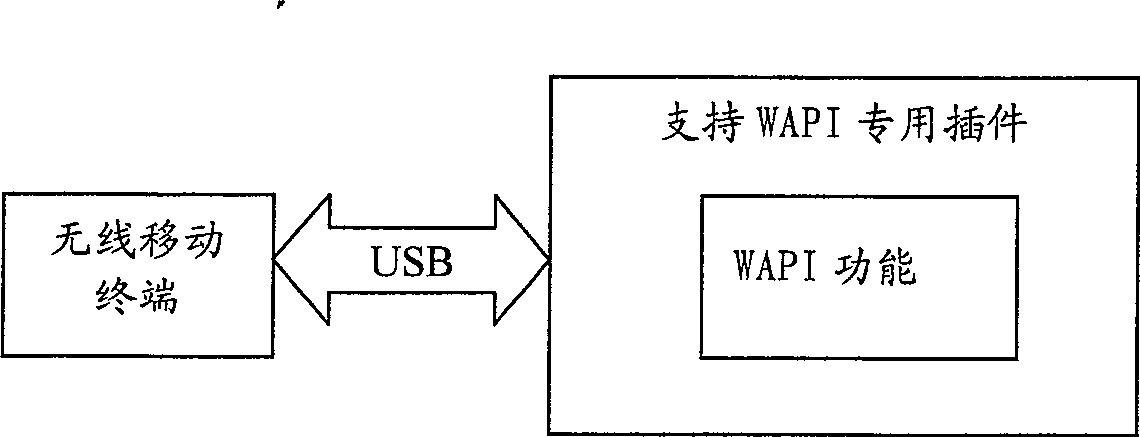 Method for realizing wireless LAN accessing