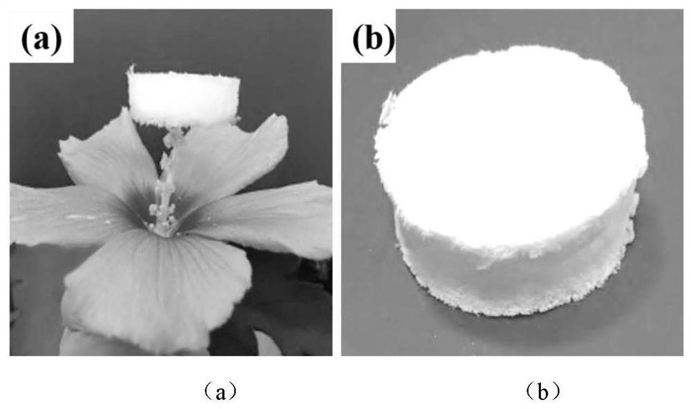 A kind of preparation method of oil-absorbing material with hierarchical porous structure