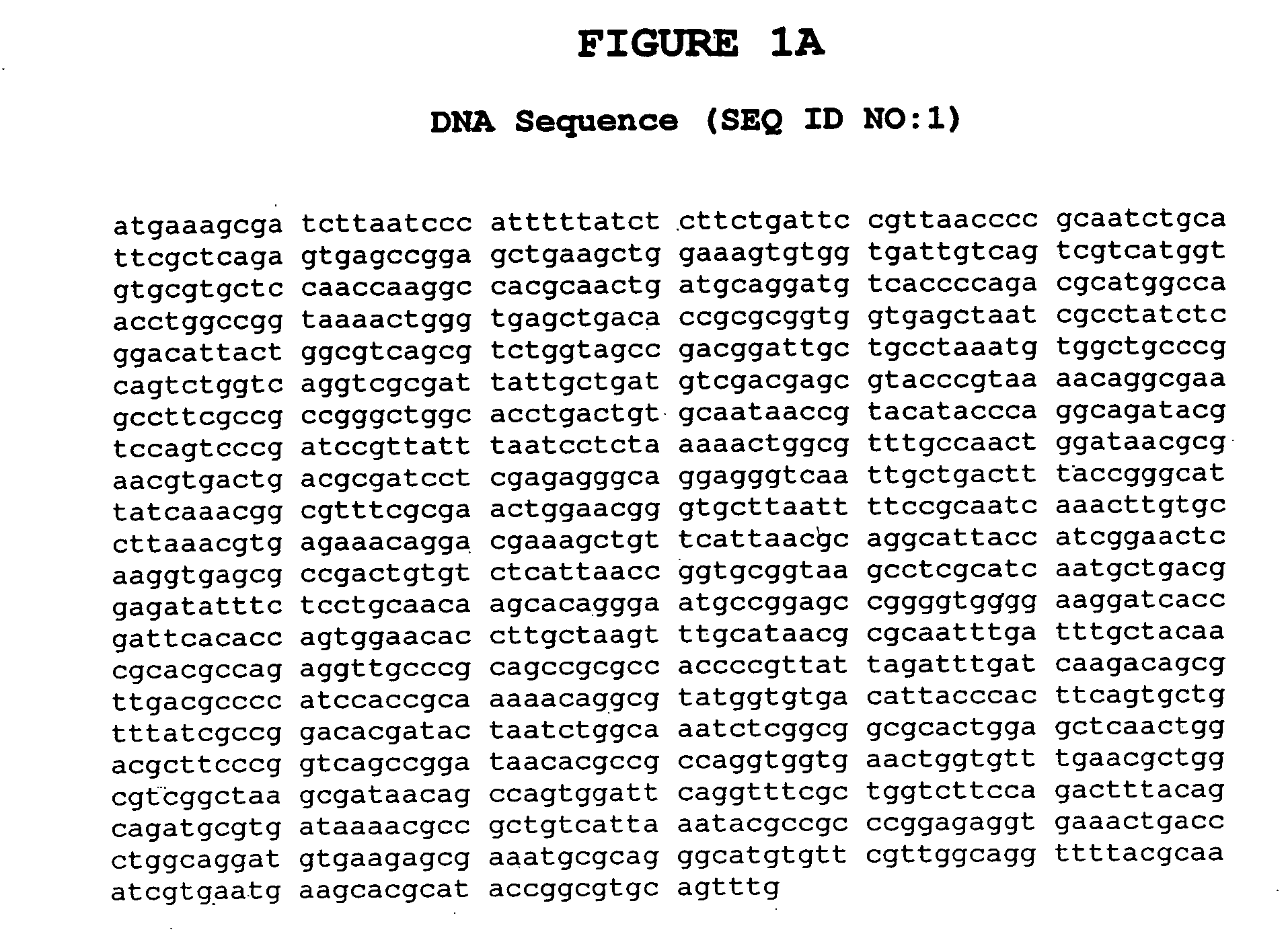 Phytases, nucleic acids encoding them and methods for making and using them