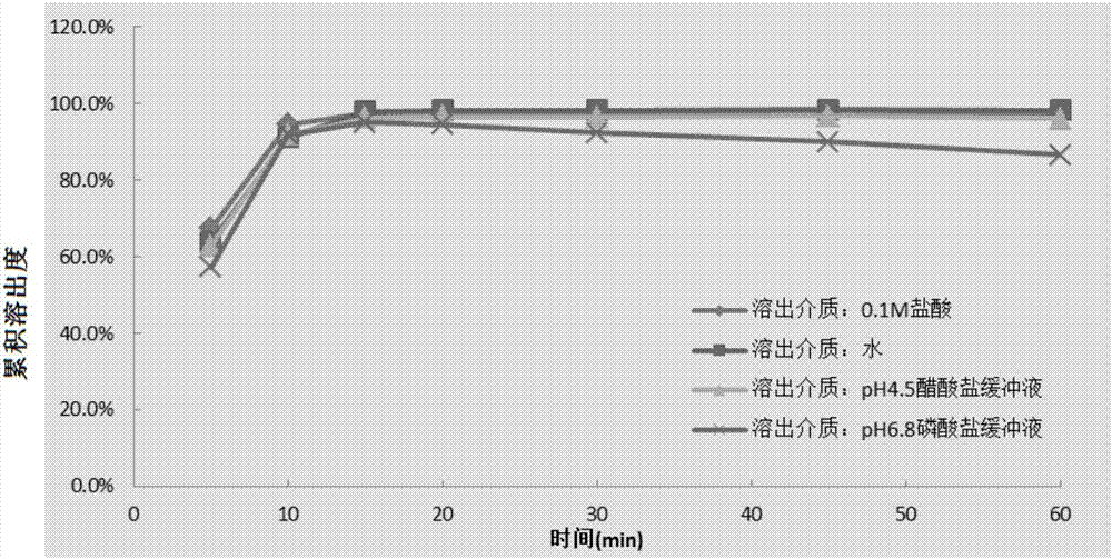 Temozolomide pharmaceutical composition as well as preparation method and application thereof