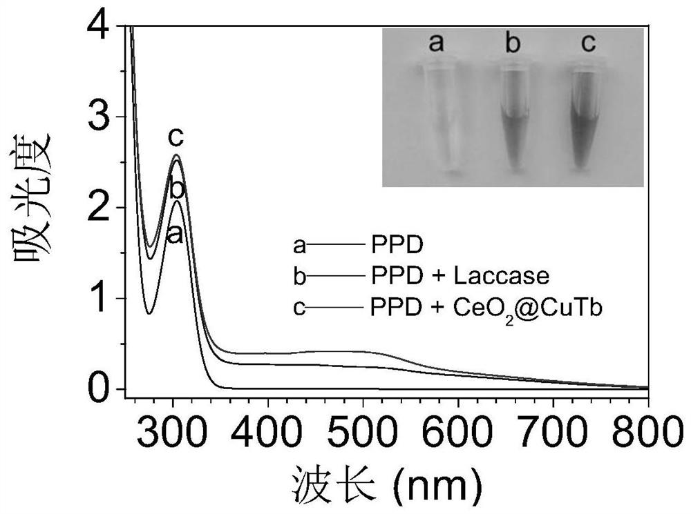 Multifunctional nano-enzyme as well as preparation method and application