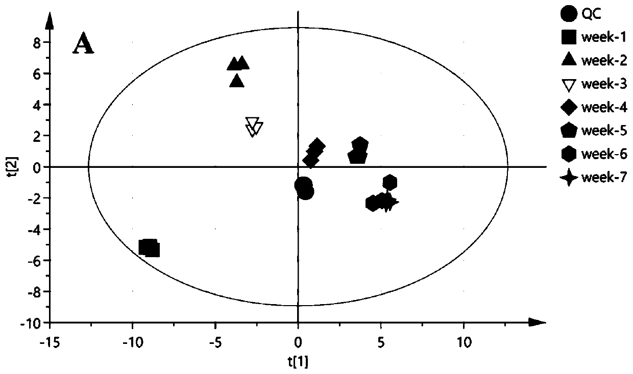 Metabonomics analysis method for garlic bulb components in different growth stages