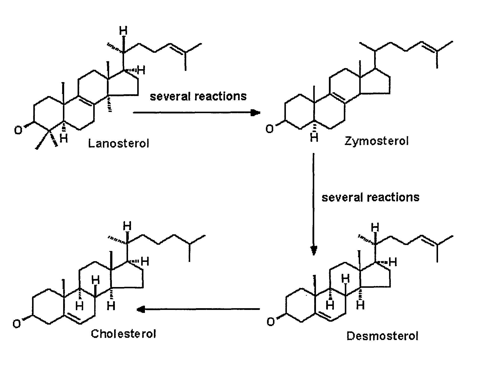 Class of sterol ligands and their uses in regulation of cholesterol and gene expression