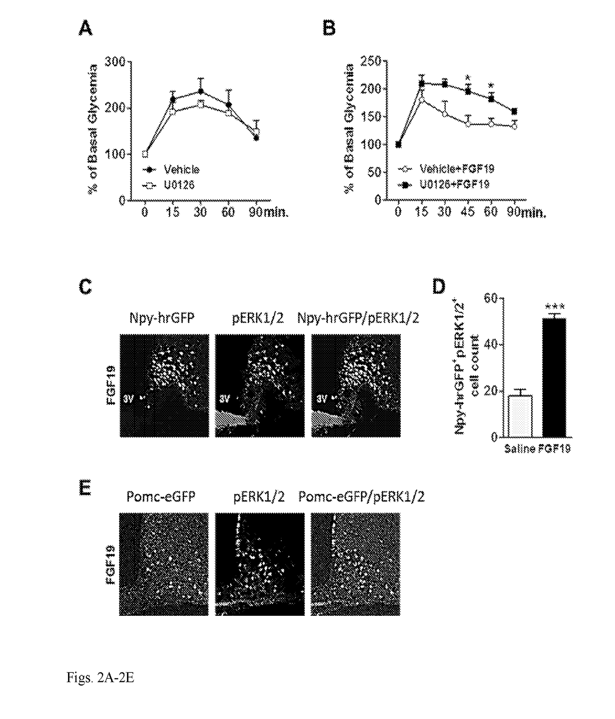 Fgf receptor ligands for treating diabetes and obesity