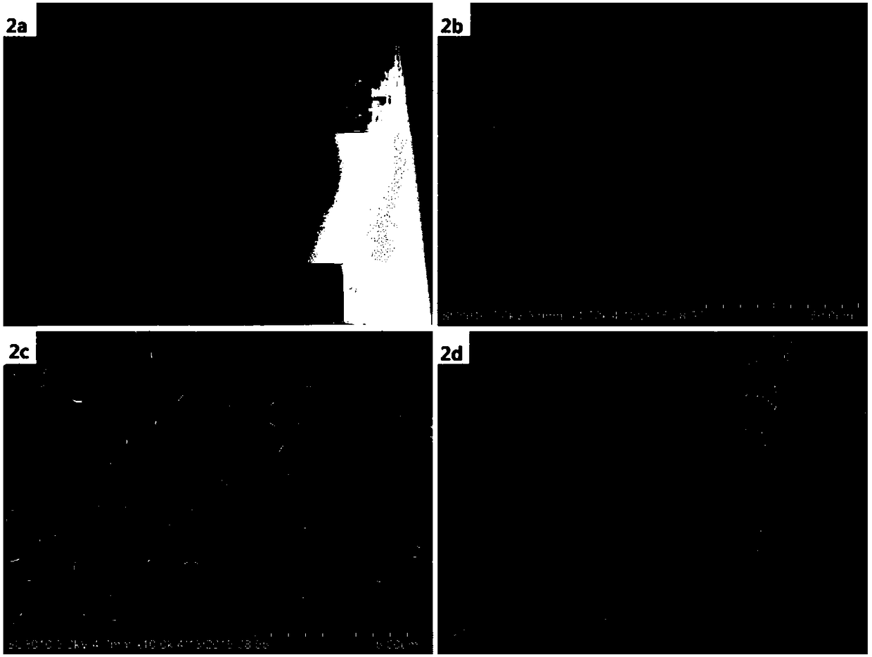 A method for improving field emission properties of flexible composites of graphene sheets and carbon nanotube films