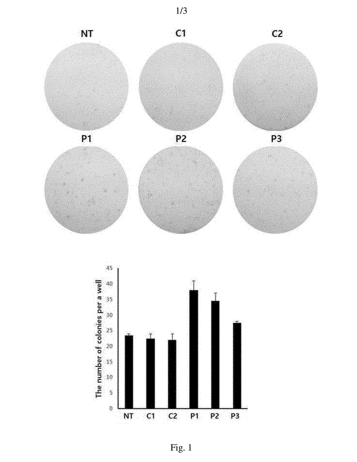 Method for preparing induced pluripotent stem cells using synthetic peptide