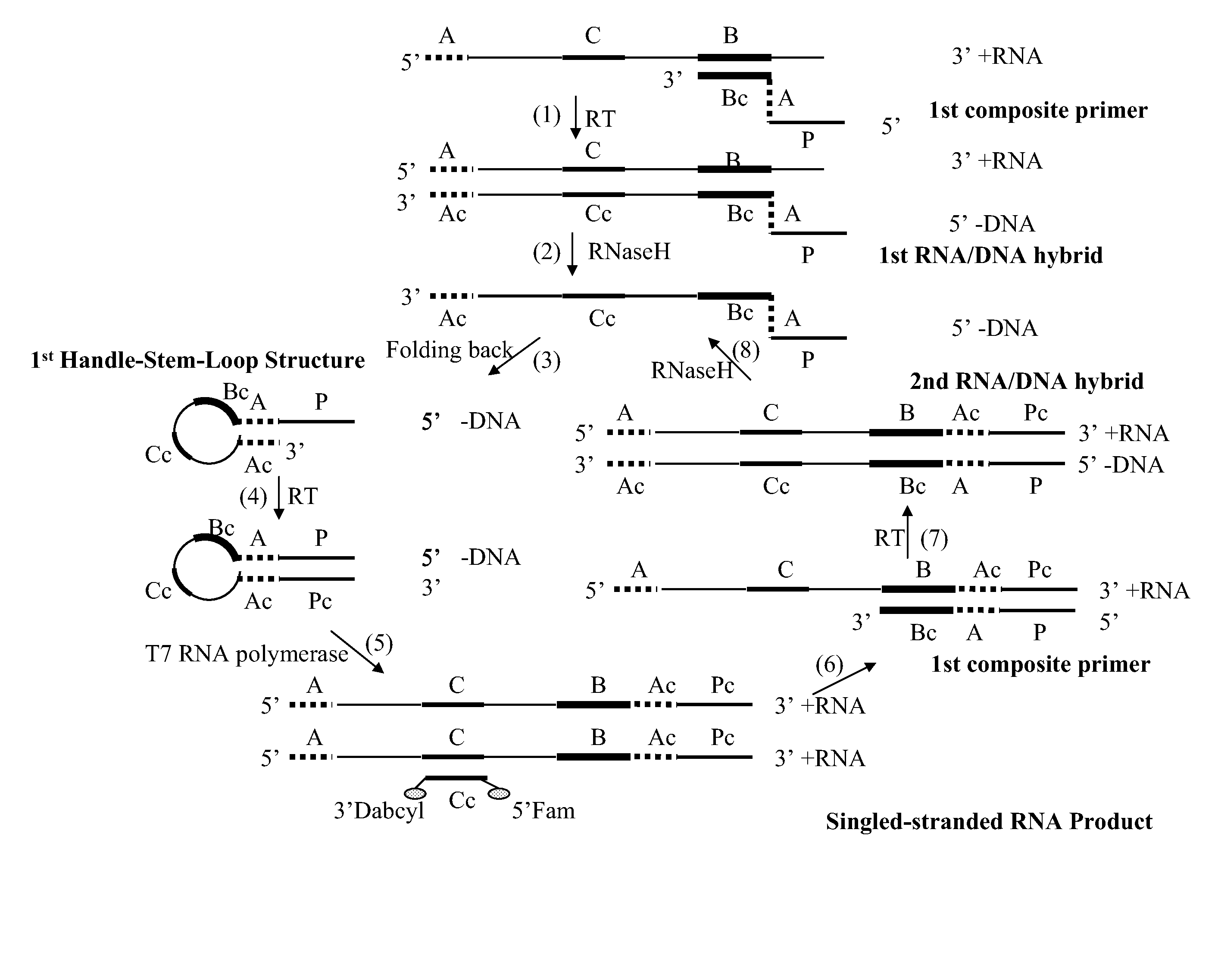 Self-folding amplification of target nucleic acid