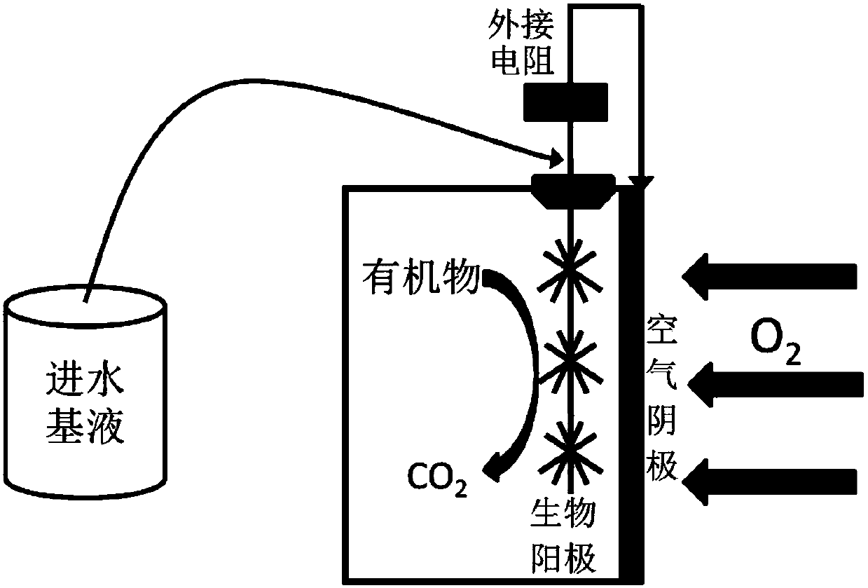 Method for high-efficiency degradation of p-chloronitrobenzene through microbial electrocatalysis