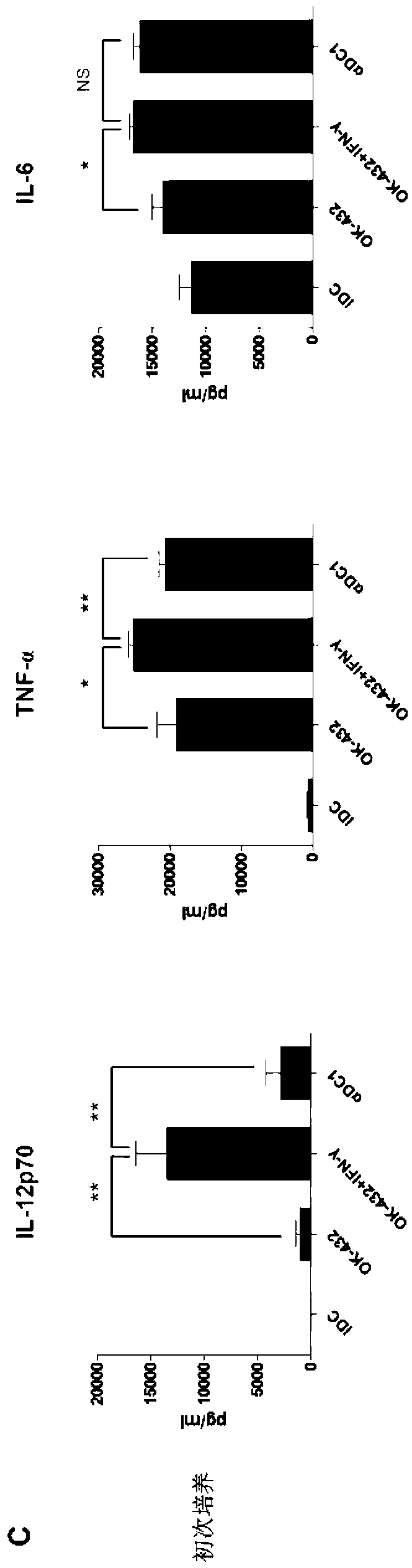 Composition and method for stimulating dendritic cell maturation